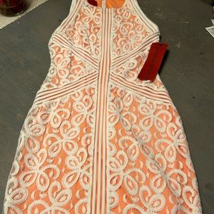 Cynthia Steele new dress